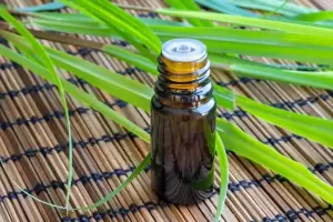 Esta es la planta medicinal que sirve como repelente casero para ahuyentar los mosquitos