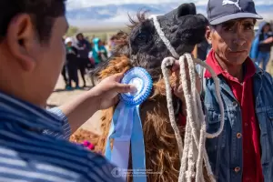 Finaliz con xito la Feria Ganadera de la Chimpiada
