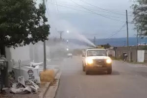 Fumigacin por dengue: viernes de operativo en el norte de la Capital