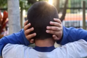 Ao Nuevo: as afecta la pirotecnia sonora a las personas con autismo