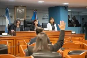 Media sanci�n para crear el Banco provincial de pr�tesis