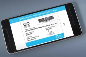 CUD: cules son los requisitos para solicitarlo antes de que termine el 2025