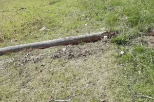 Una instituci�n deportiva nuevamente fue blanco del vandalismo