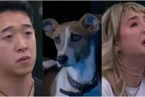 La angustiante situacin de Arturo, el perrito de GH, casi se ahoga mientras coma