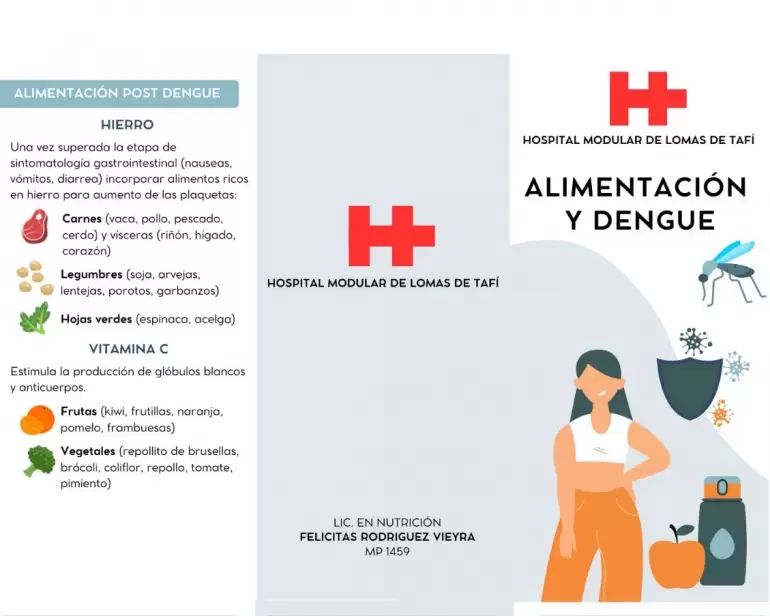 Alimentacion y dengue