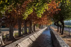 Domingo con descenso de la temperatura y chance de lluvias: as estar el clima