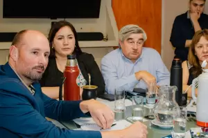 Ley de Emergencia Econmica: la UCR present sus diferencias con el dictamen oficialista