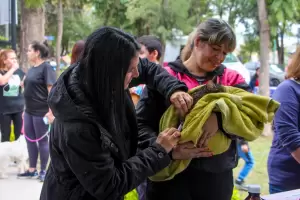 Da del Animal: recomendaciones para el cuidado de las mascotas