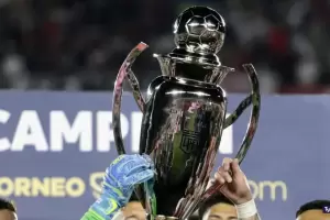 Comienza la Liga Profesional 2024: formato, clasificacin a las Copas y ms