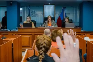 Diputados dio media sancin a la Emergencia Econmica