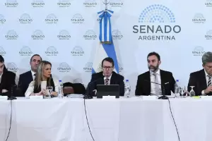 El Senado retoma el debate de la Ley Bases en comisin y el oficialismo apuesta a lograr dictamen esta semana