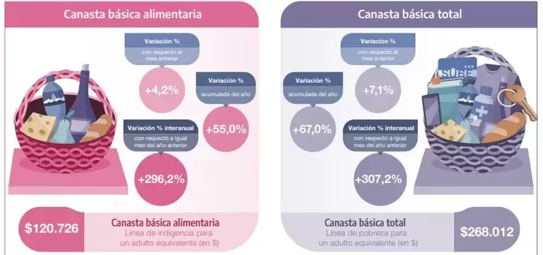 canasta basica