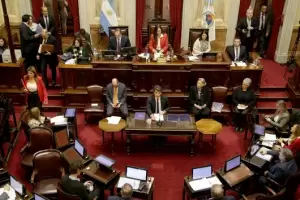 Posse, en el Senado: "Encontramos un largo proceso de parche sobre parche"