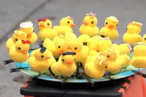 Cmo hacer un patito kawaii en casa: paso a paso y todo lo que hay que comprar