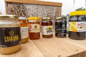 Se celebra la miel y los sistemas apcolas en Catamarca