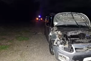 Nuevamente un animal suelto provoc� un accidente en Ruta 38