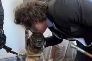 El tierno encuentro entre Milei y un perro de la Polica en Crdoba