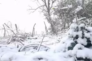 El interior, por segundo d�a, amaneci� nevado y las postales son una belleza