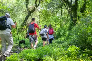 Se vienen dos fines de semana largos consecutivos: siete das de descanso y apenas dos laborables