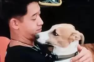 Arturo, el perro de GH 2023, tiene un trabajo soado y nadie puede creerlo