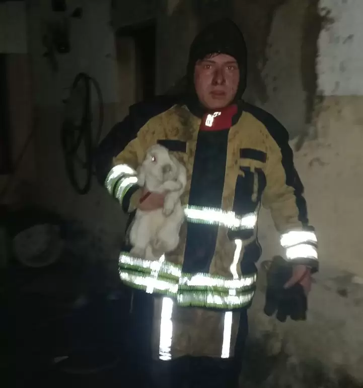 bomberos rescate 2