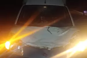 Animal suelto provoc un accidente sobre Ruta n 38