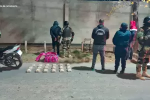 Golpe a la droga: policas secuestran ms de treinta kilos de marihuana en Valle Viejo