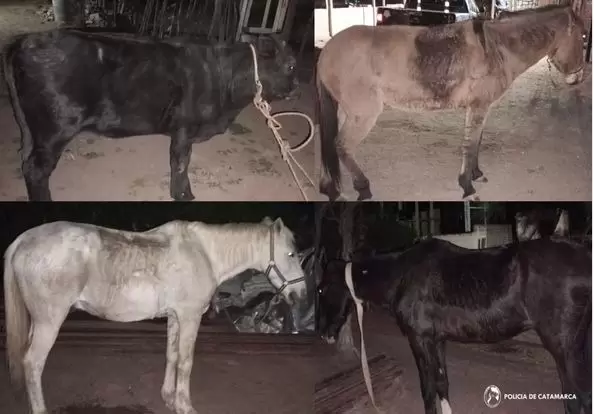 7bb242a7-cde5-4375-88f8-d430524b8485