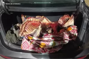 Decomisan carne vacuna en un control vehicular
