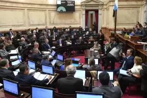 Los senadores congelaron sus sueldos y suspendieron el enganche de las dietas