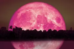 Luna llena de Fresa: a qu� hora se podr� ver hoy y por qu� se llama as�