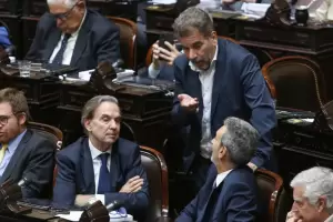 Ley Bases: privatizaciones y sistema previsional, los dos puntos ms complicados para el Gobierno en Diputados