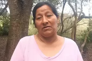 Caso Loan: la fiscal sostiene que Laudelina Pe�a habr�a plantado una prueba