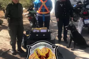 Secuestran 5 kilos de marihuana en el Puesto Caminero El Portezuelo