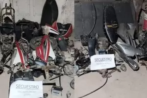 Recuperan motocicletas sustradas y secuestran una planta de marihuana en La Paz