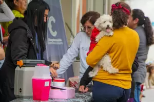 Se celebr el Da Mundial de las Zoonosis