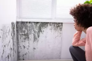 Paso a paso: C�mo limpiar manchas de humedad de las paredes