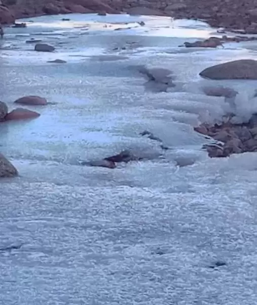 rio congelado palo blanco