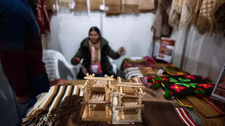 ponchos catamarquenos (1)