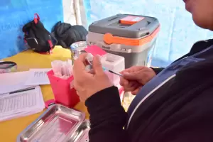 Fortalecimiento del acceso a la vacunacin en la Fiesta del Poncho