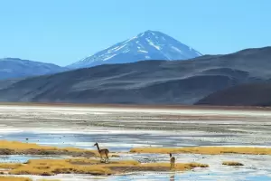 Los puntos ms interesantes de la Ruta 40: qu hitos de Catamarca se incluyeron?
