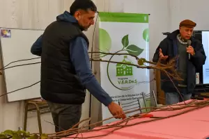 Jornada de actualizacin tcnica sobre el cultivo del membrillero y olivo en Tinogasta