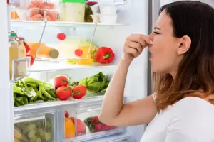 Cmo pods evitar que la heladera absorba malos olores de las comidas?