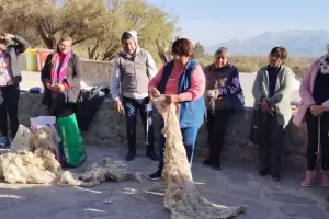 Lanzaron en Santa Mara la segunda cohorte de la Diplomatura de Tejido en Telar
