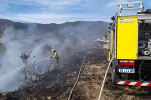 Incendio forestal sobre Ruta 38: brigadistas trabajan en la zona