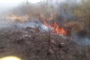 Incendio forestal sobre Ruta 38: brigadistas contuvieron el siniestro
