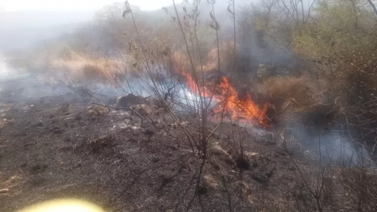 incendio en la merced