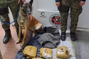 Secuestraron 5.220 kilogramos de marihuana en la RN 38