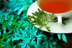 Da de la Pachamama: qu se dice cuando se toma la caa con ruda