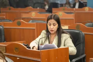 Del Arco: "La reforma del '94 fue un hito poltico, social e institucional de enorme trascendencia para la Nacin"